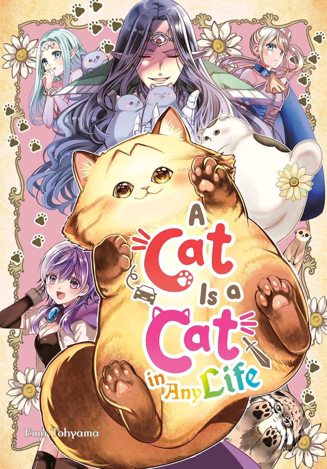 Um Gato é um Gato em Qualquer Vida: Análise • Anime UK News